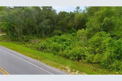 County Road 42, Paisley, FL 32767 - Photo 8