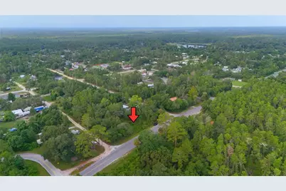County Road 42, Paisley, FL 32767 - Photo 1