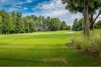6719 Valhalla Way, Windermere, FL 34786 - Photo 36