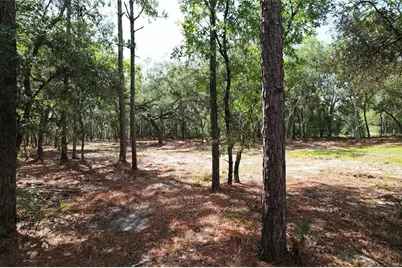 4546 S Evergreen Avenue, Homosassa, FL 34446 - Photo 6