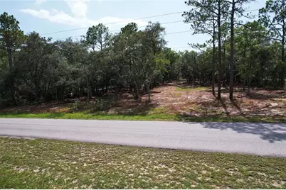 4546 S Evergreen Avenue, Homosassa, FL 34446 - Photo 4