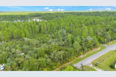 Georgia Street, Paisley, FL 32767 - Photo 6