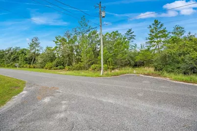 Georgia Street, Paisley, FL 32767 - Photo 2