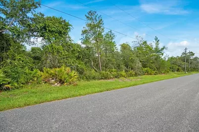 Georgia Street, Paisley, FL 32767 - Photo 4