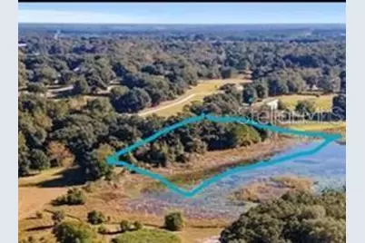 160th, Weirsdale, FL 32195 - Photo 2