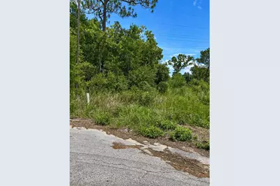 Water Track Lot 08, Ocala, FL 34477 - Photo 1