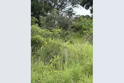 Oak Pass Run #Lot 10, Ocala, FL 34477 - Photo 4