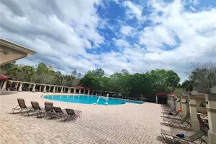 31404 Philmar Ln, Wesley Chapel, FL 33543 - Photo 20