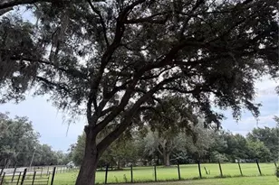 7830 SW 19th Pl, Ocala, FL 34481 - Photo 26