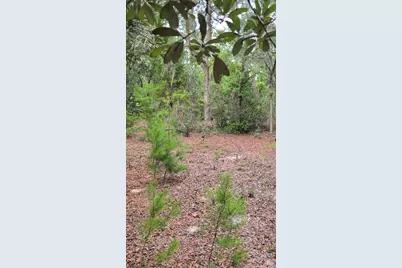 102 B Street, Interlachen, FL 32148 - Photo 4