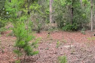 102 B St, Interlachen, FL 32148 - Photo 4