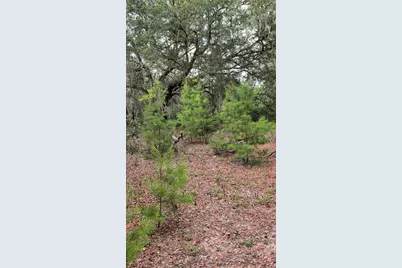 102 B Street, Interlachen, FL 32148 - Photo 2