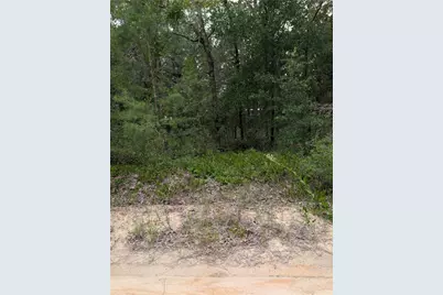 Pineway Drive, Interlachen, FL 32148 - Photo 2