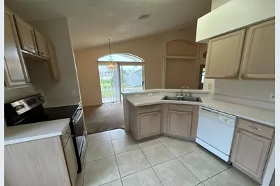 357 Thornbush Parkway, Davenport, FL 33837 - Photo 4