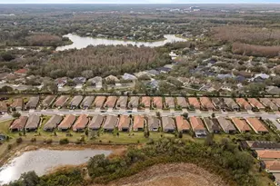 8424 Alberata Vista Dr, Tampa, FL 33647 - Photo 32