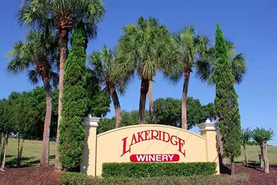 897 Carmillion Court, Groveland, FL 34736 - Photo 60