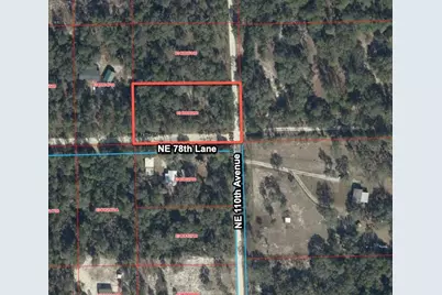 10995 NE 78 Lane, Bronson, FL 32621 - Photo 6