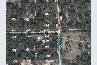 10995 NE 78 Lane, Bronson, FL 32621 - Photo 8
