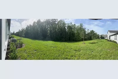 16890 Forge Surf Street, Land O Lakes, FL 34638 - Photo 18