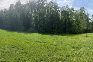 16890 Forge Surf St, Land O Lakes, FL 34638 - Photo 18