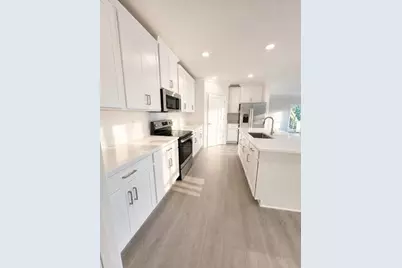 16890 Forge Surf Street, Land O Lakes, FL 34638 - Photo 8