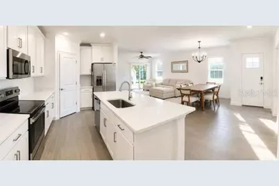16890 Forge Surf Street, Land O Lakes, FL 34638 - Photo 6