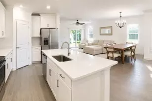 16890 Forge Surf St, Land O Lakes, FL 34638 - Photo 6