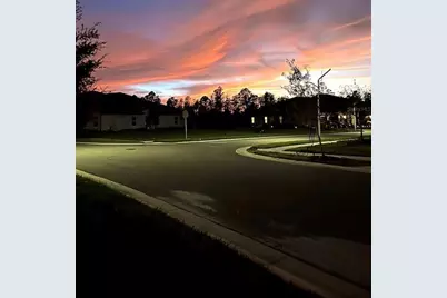16890 Forge Surf Street, Land O Lakes, FL 34638 - Photo 4