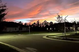 16890 Forge Surf St, Land O Lakes, FL 34638 - Photo 4
