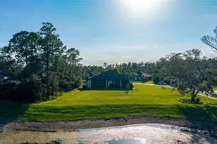 1625 Turnbull Crossings Dr, New Smyrna Beach, FL 32168 - Photo 70