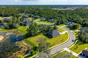 1625 Turnbull Crossings Dr, New Smyrna Beach, FL 32168 - Photo 60
