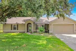 227 Robbins Rest Cir, Davenport, FL 33896 - Photo 1