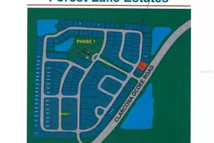 1083 Dusty Pine Dr, Apopka, FL 32703 - Photo 100