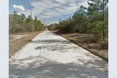 14710 SE 6th Lane, Williston, FL 32696 - Photo 2