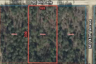 14710 SE 6 Ln, Williston, FL 32696 - Photo 1