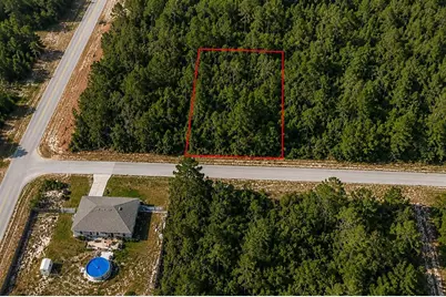 8332 N Farrington Drive, Citrus Springs, FL 34433 - Photo 2
