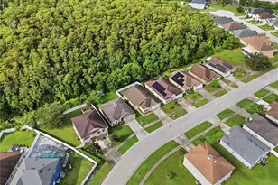 2350 Topaz Trail, Kissimmee, FL 34743 - Photo 44