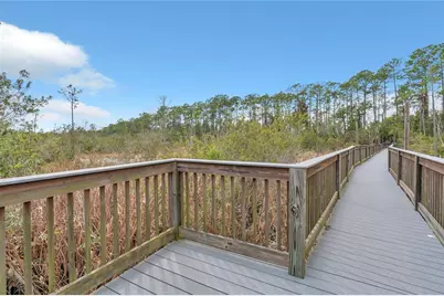 2908 Banana Palm Drive, Kissimmee, FL 34747 - Photo 72