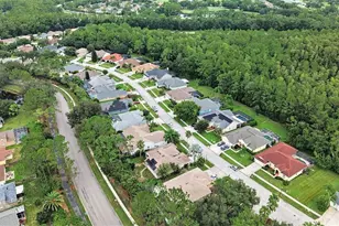 12516 Leatherleaf Dr, Tampa, FL 33626 - Photo 16