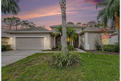 12516 Leatherleaf Drive, Tampa, FL 33626 - Photo 1