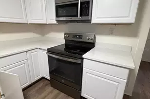233 S Rhodes St, Mount Dora, FL 32757 - Photo 10