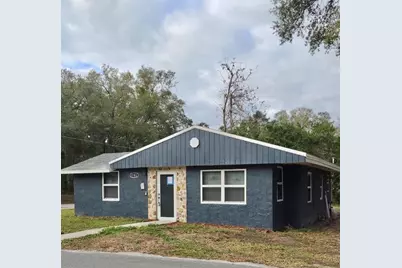 1103 Grant Avenue, Mount Dora, FL 32757 - Photo 1