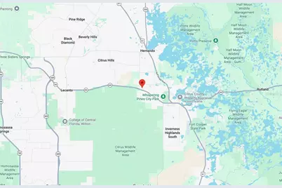 3133 E Lloyd St, Inverness, FL 34453 - Photo 4