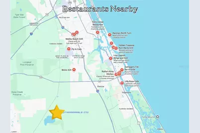 Boy Scout Camp Road, New Smyrna Beach, FL 32168 - Photo 14