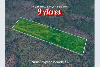 Boy Scout Camp Road, New Smyrna Beach, FL 32168 - Photo 1