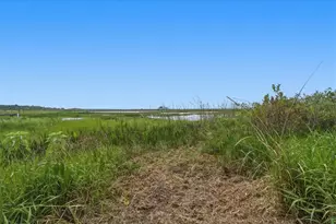 2794 Holiday Woods Dr, Kissimmee, FL 34744 - Photo 20