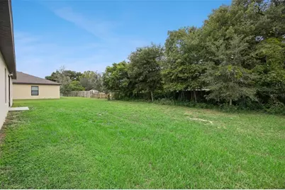 35685 Rose Moss Avenue, Leesburg, FL 34788 - Photo 30