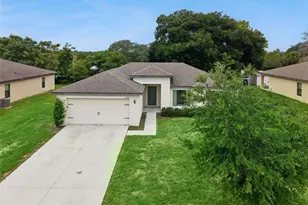 35669 Rose Moss Ave, Leesburg, FL 34788 - Photo 30