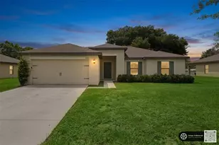 35669 Rose Moss Ave, Leesburg, FL 34788 - Photo 1