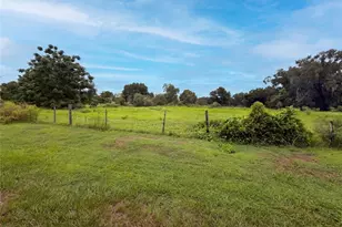 37209 Grassy Hill Ln, Dade City, FL 33525 - Photo 26